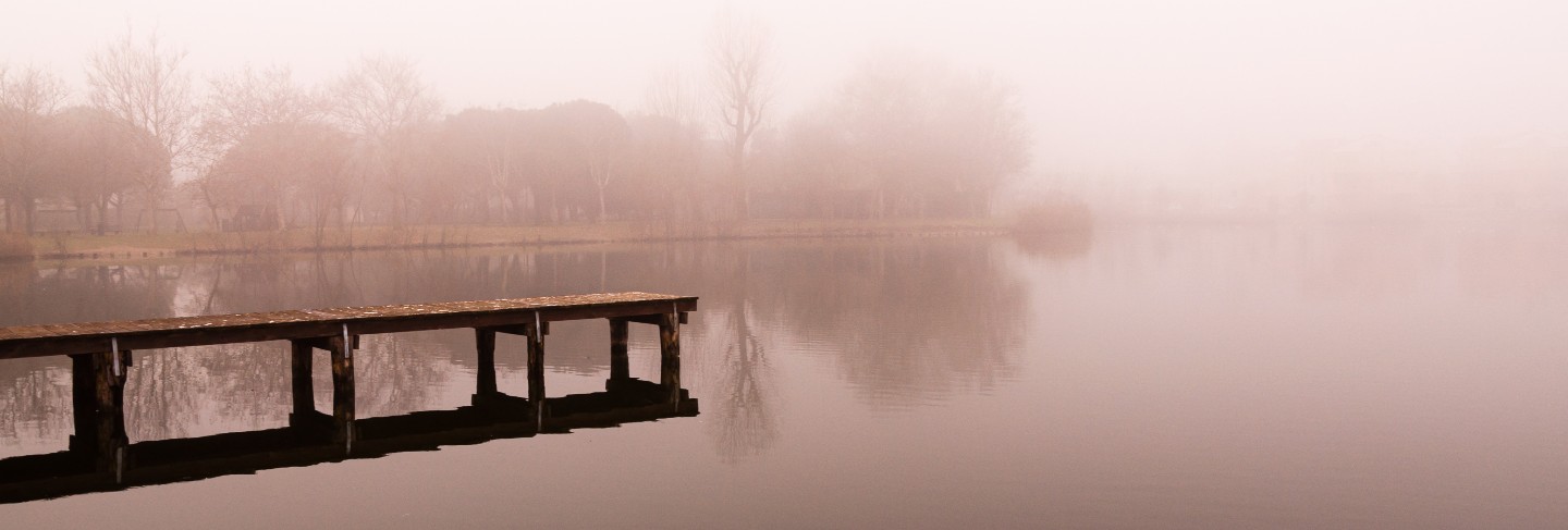 Winter and foggy lake scene