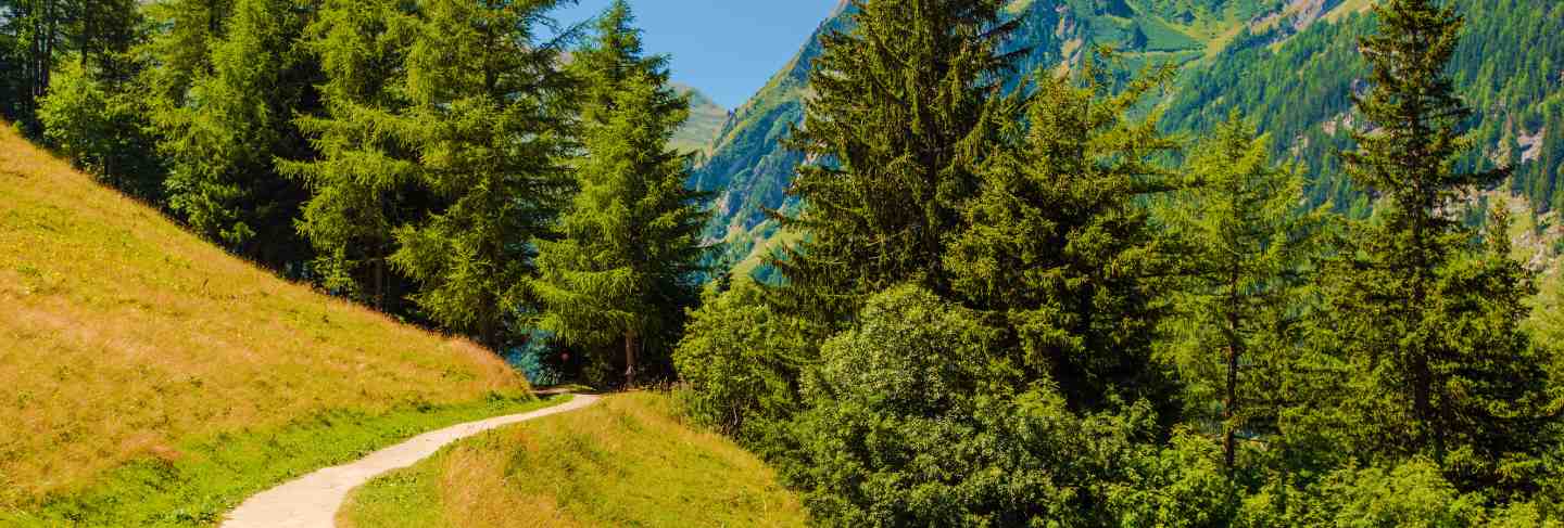 Swiss mountains trail