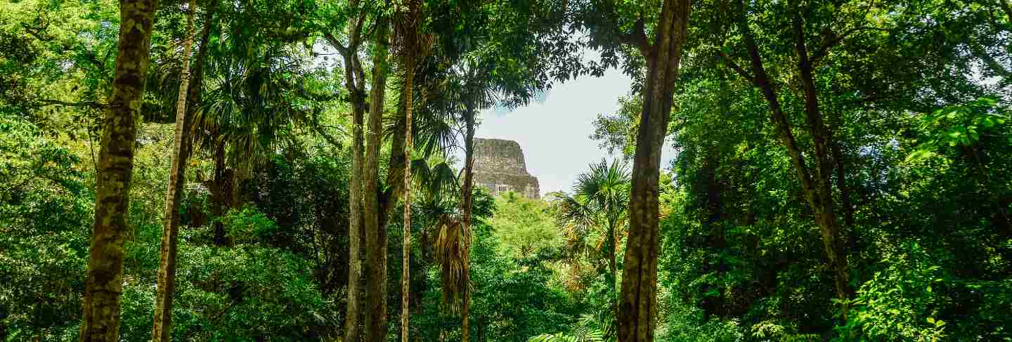 Tikal national park
