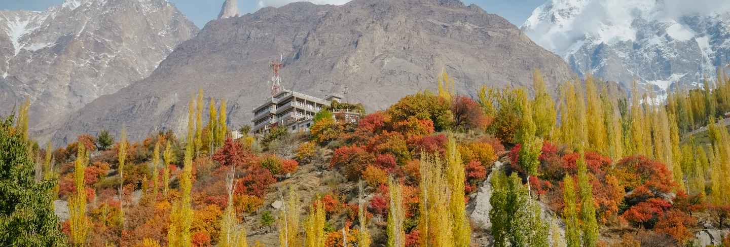 Colorful foliage forest trees in autumn season and snow capped mountain peak in karakoram range. Premium Photo