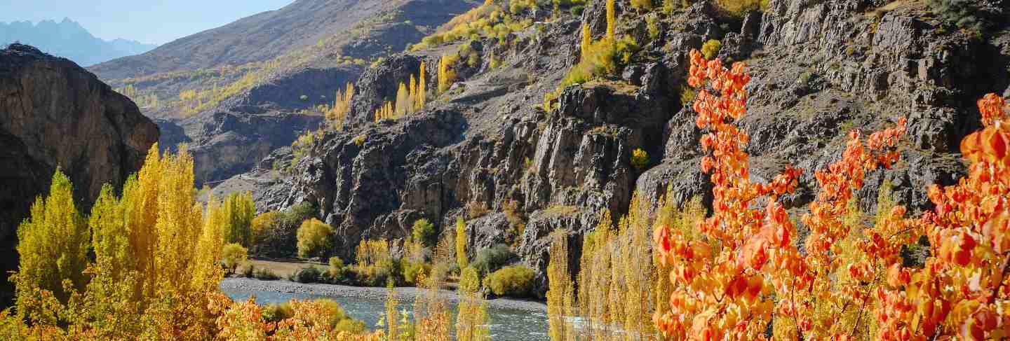 Landscape view of colorful trees in autumn against hindu kush mountain range Premium Photo
