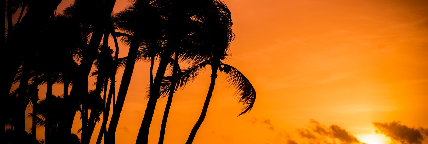 Sunrise with palms