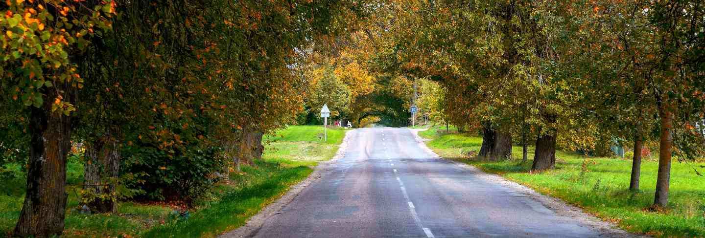 Autumn landscape. lonely rural road with deciduous alleys