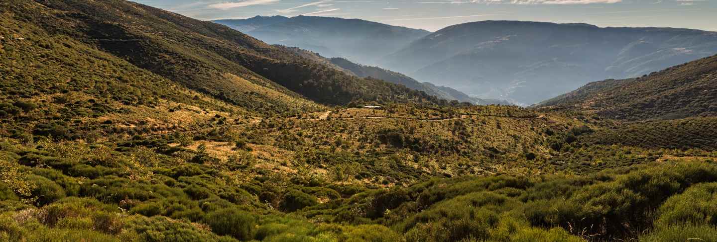 Landscape in puerto de honduras. extremadura. spain.