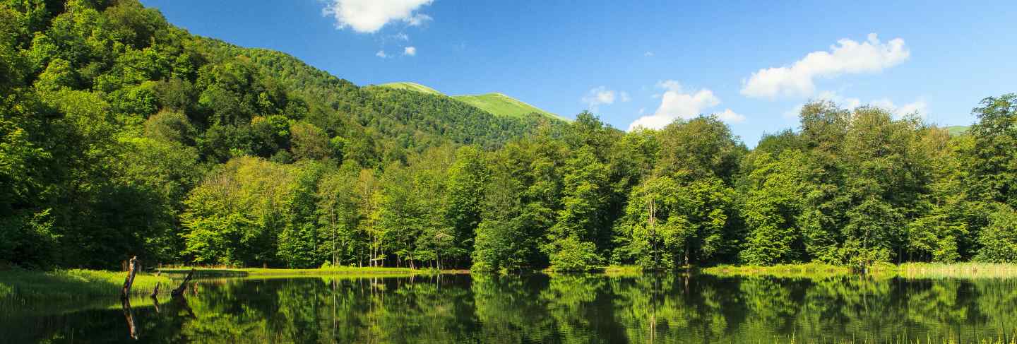Beautiful the green scenery reflecting in the gosh lake, armenia