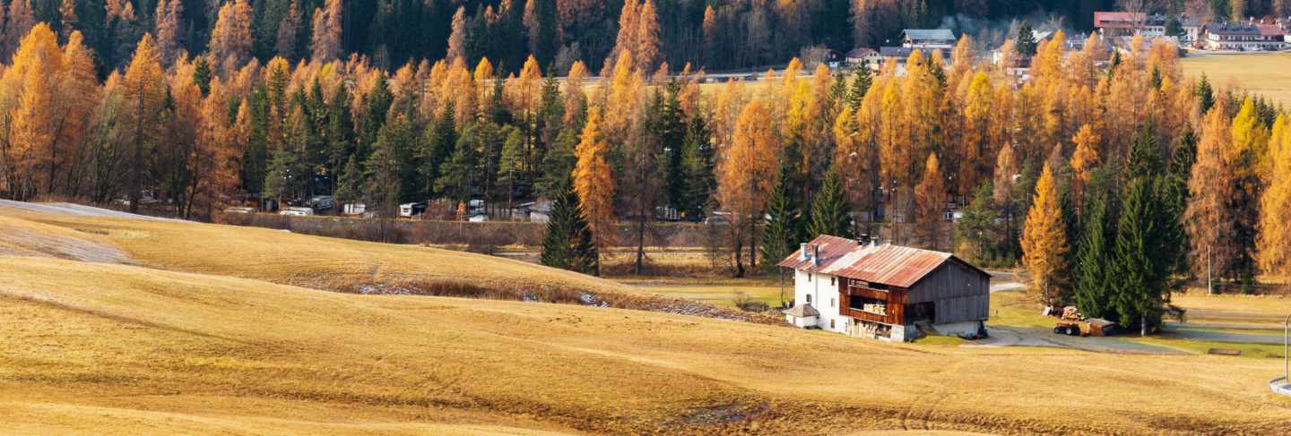 Autumn landscape with mountains, yellow forest and house, austria