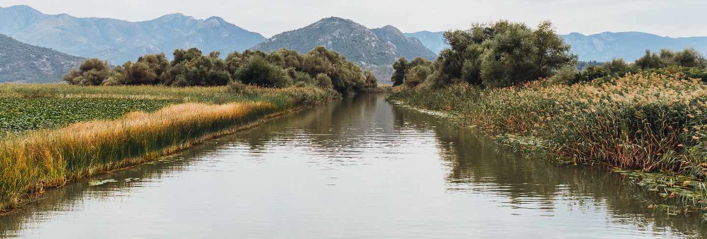 Lake skadar national park in montenegro