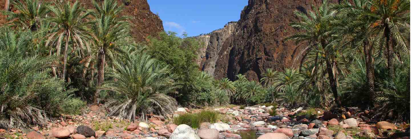 Wadi dirhur canyon, socotra island, indian ocean, yemen
