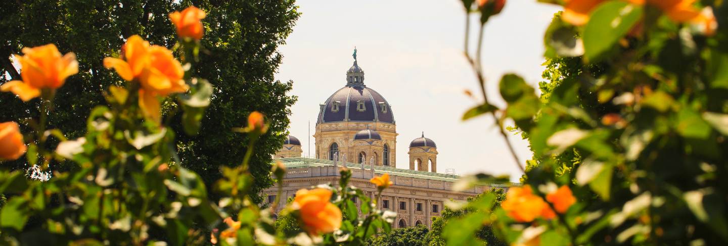 Naturhistorisches museum dome, vienna