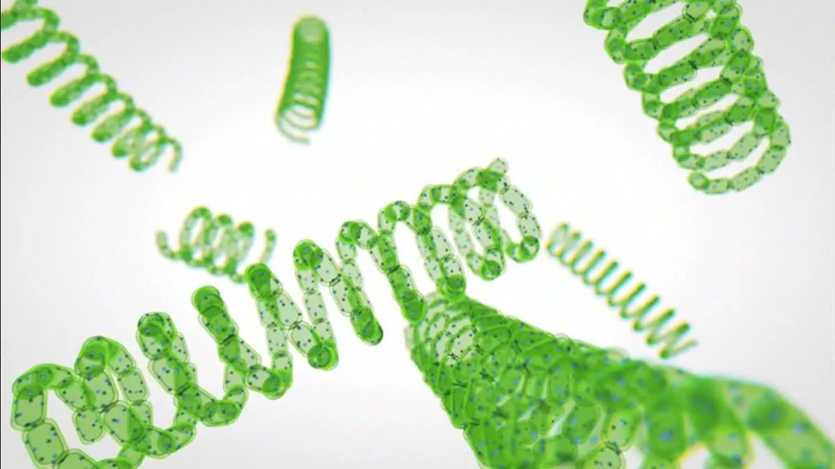 AQUAMONDIS Finanzierungsrunde endet