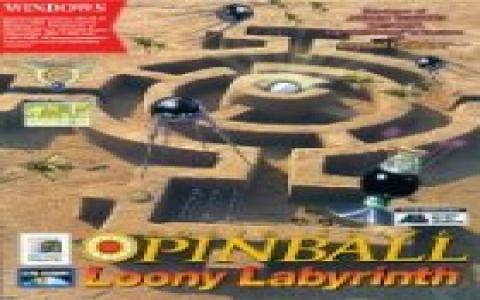 Loony Labyrinth - game cover