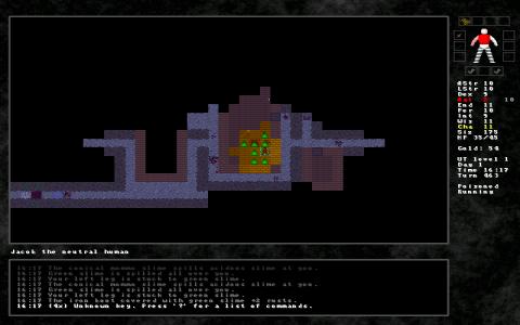 Iter Vehemens ad Necem - game cover