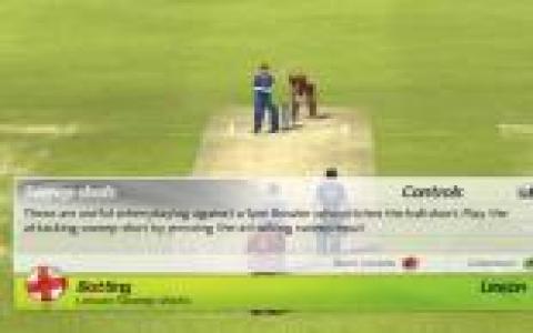 Brian Lara International Cricket 2007 - game cover