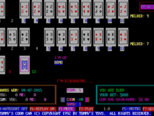 Tommy's Coon Can - game cover