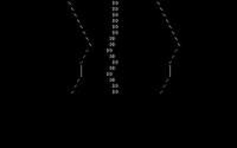 RaceMan - game cover