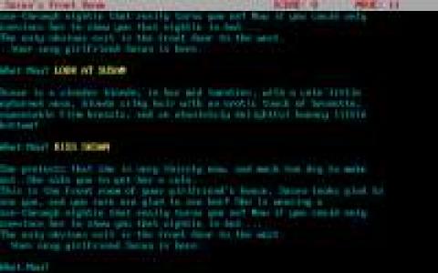 Susan - a lustful Game - game cover