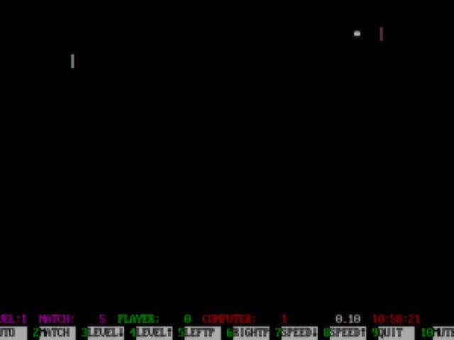 Tommy's Paddles - game cover