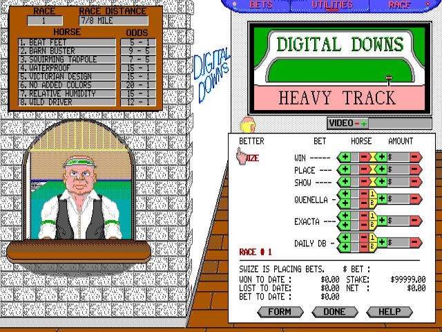 Digital Downs - game cover