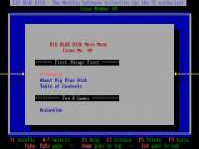 Big Blue Disk #40 - game cover