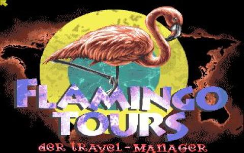 Flamingo Tours - game cover