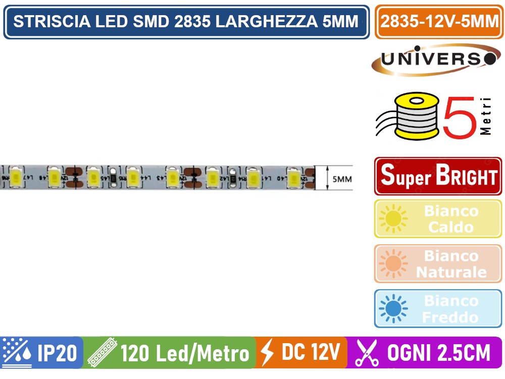 Striscia LED 12V Bianco Freddo 6000K 5m - SMD 2835, 120 LED/m, Larghezza 4mm, Autoadesiva, Per Interni (Cucina, Armadi, Soggiorno)