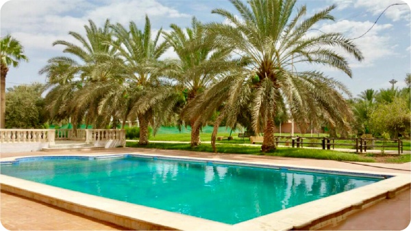 مزارع