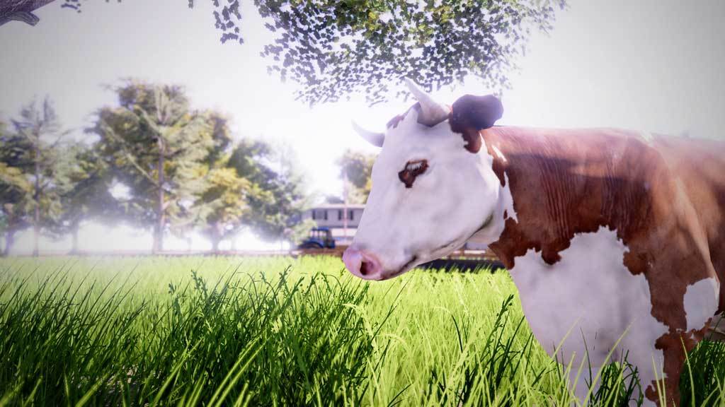 Picture of Real Farm Picture of Real Farm