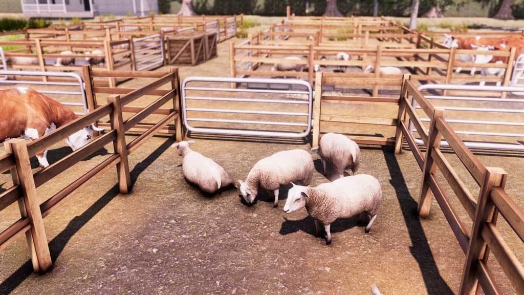 Picture of Real Farm Picture of Real Farm