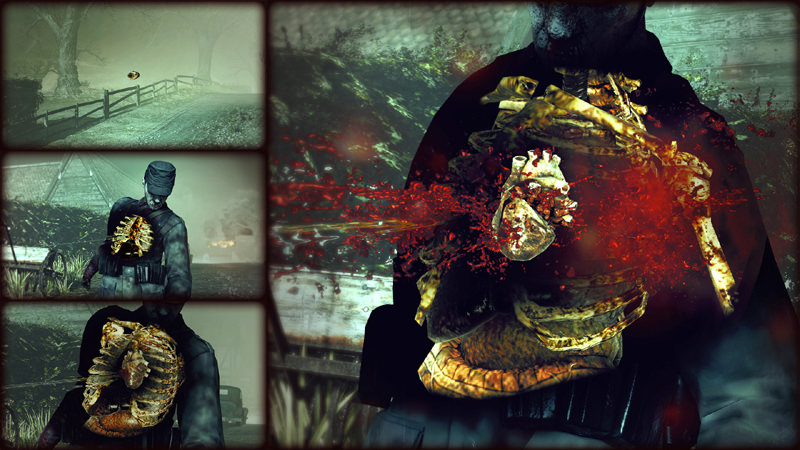 Picture of Zombie Army Trilogy Picture of Zombie Army Trilogy