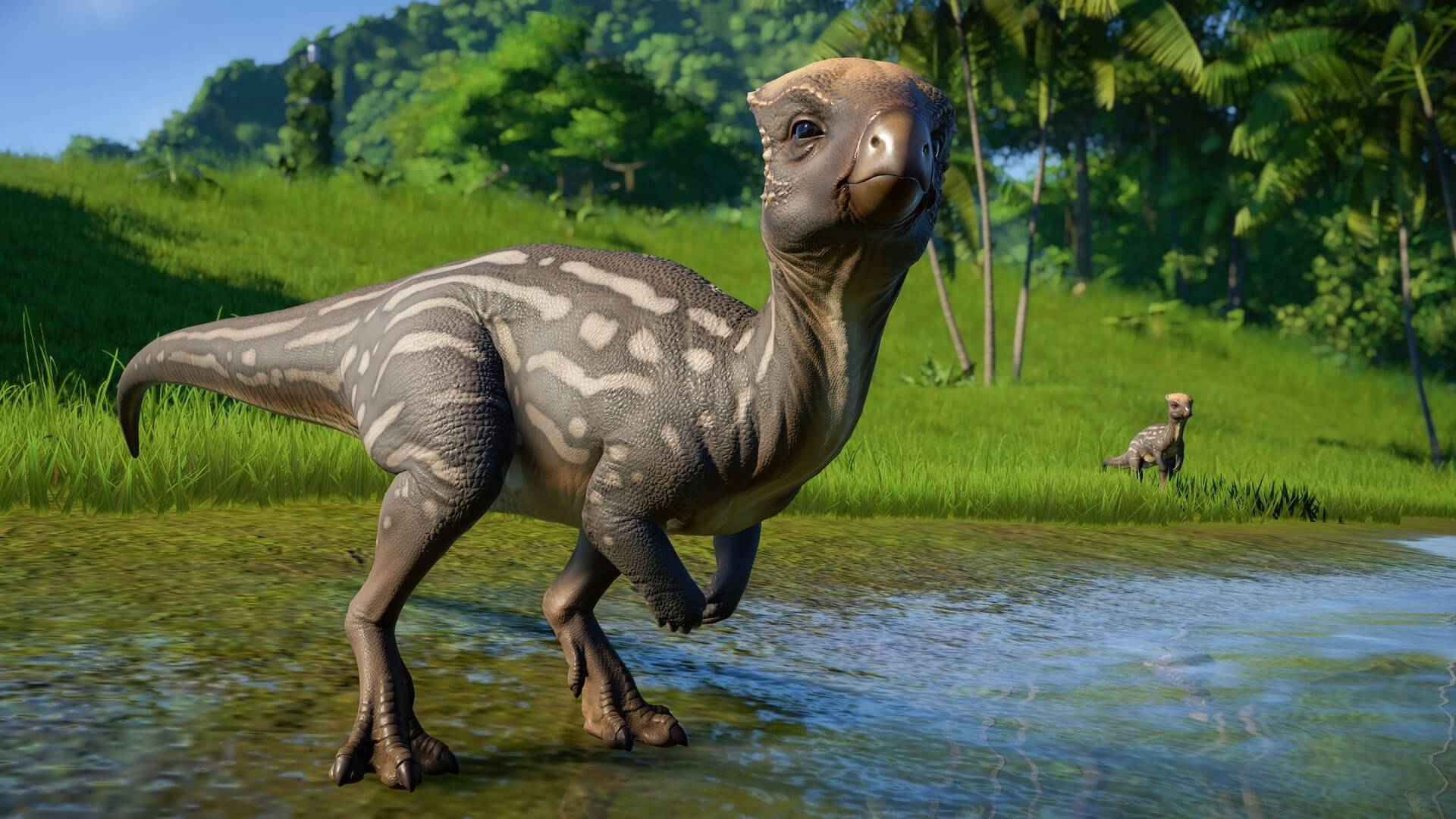 Picture of Jurassic World Evolution: Herbivore Dinosaur Pack Picture of Jurassic World Evolution: Herbivore Dinosaur Pack