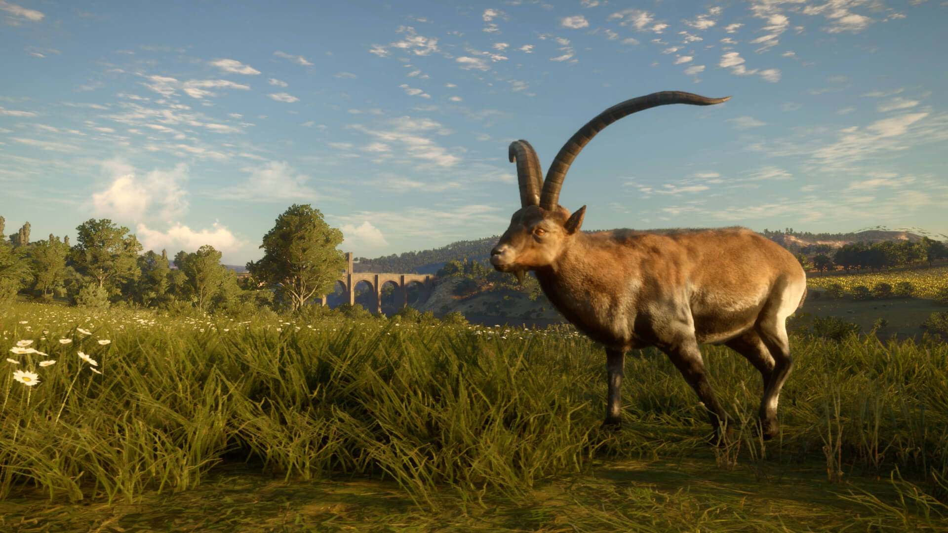 Picture of theHunter: Call of the Wild™ - Cuatro Colinas Game Reserve Picture of theHunter: Call of the Wild™ - Cuatro Colinas Game Reserve