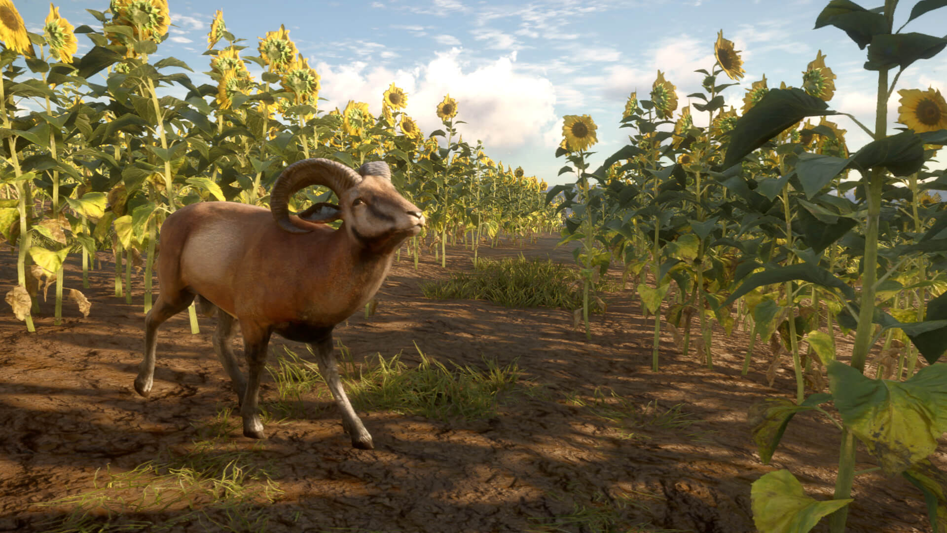 Picture of theHunter: Call of the Wild™ - Cuatro Colinas Game Reserve Picture of theHunter: Call of the Wild™ - Cuatro Colinas Game Reserve