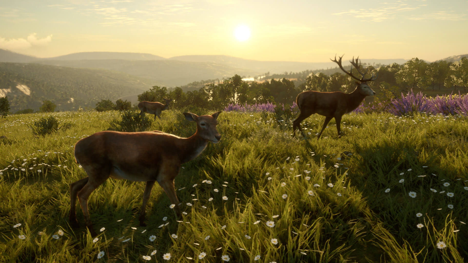 Picture of theHunter: Call of the Wild™ - Cuatro Colinas Game Reserve Picture of theHunter: Call of the Wild™ - Cuatro Colinas Game Reserve