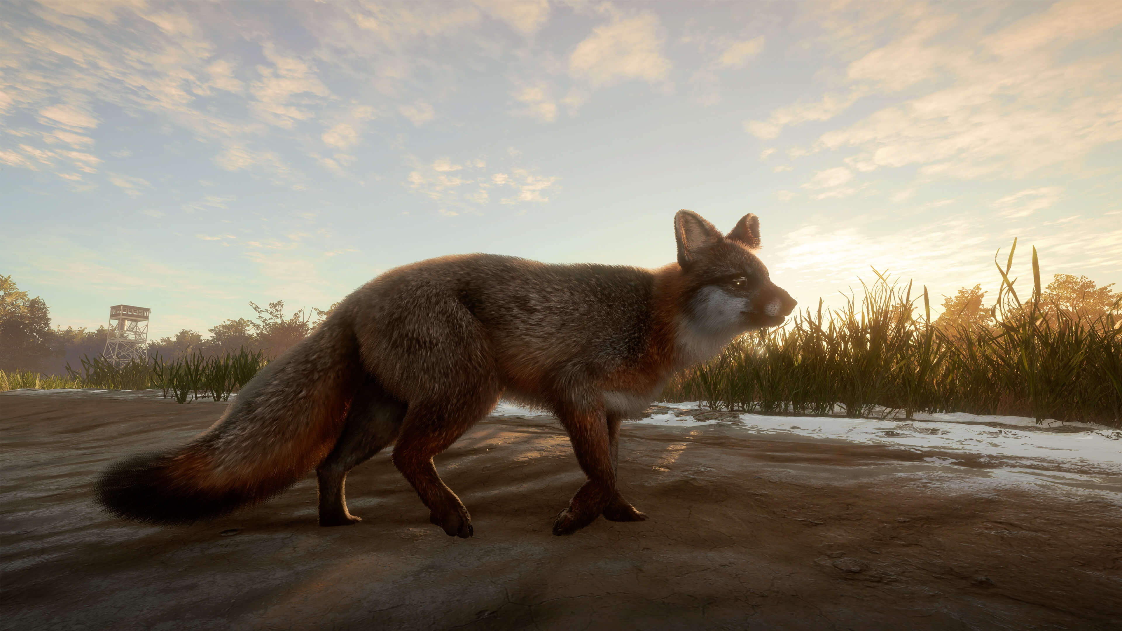 Picture of theHunter: Call of the Wild™ - Mississippi Acres Preserve Picture of theHunter: Call of the Wild™ - Mississippi Acres Preserve