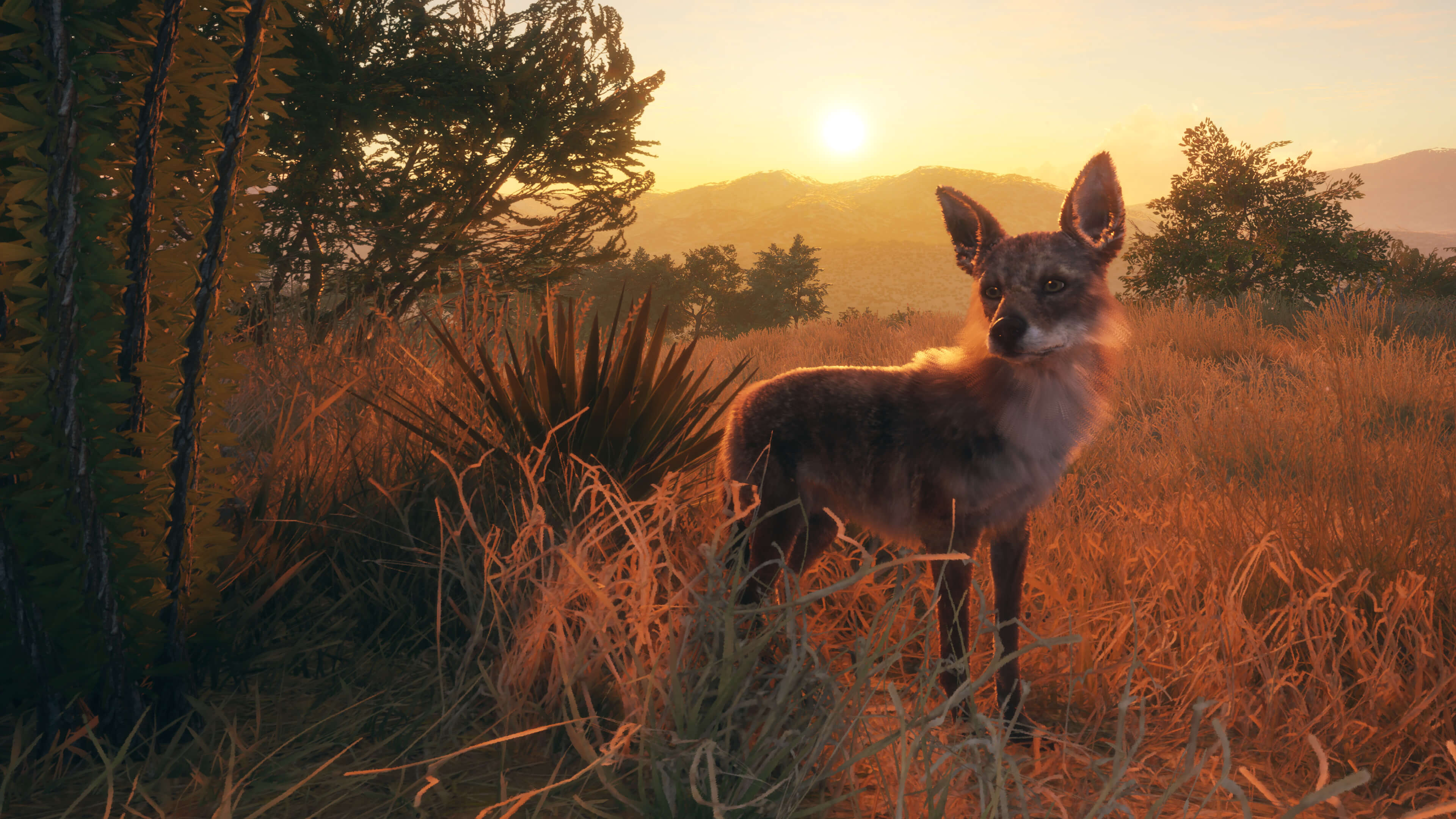 Picture of theHunter: Call of the Wild™ - Rancho del Arroyo Picture of theHunter: Call of the Wild™ - Rancho del Arroyo