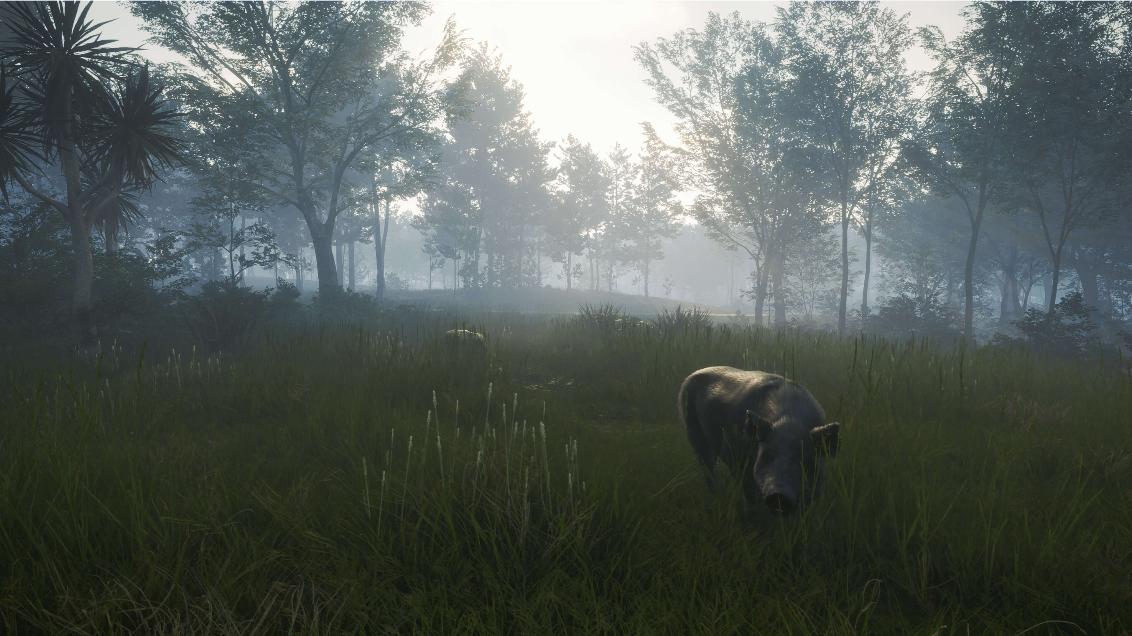 Picture of theHunter: Call of the Wild™ - Te Awaroa National Park Picture of theHunter: Call of the Wild™ - Te Awaroa National Park