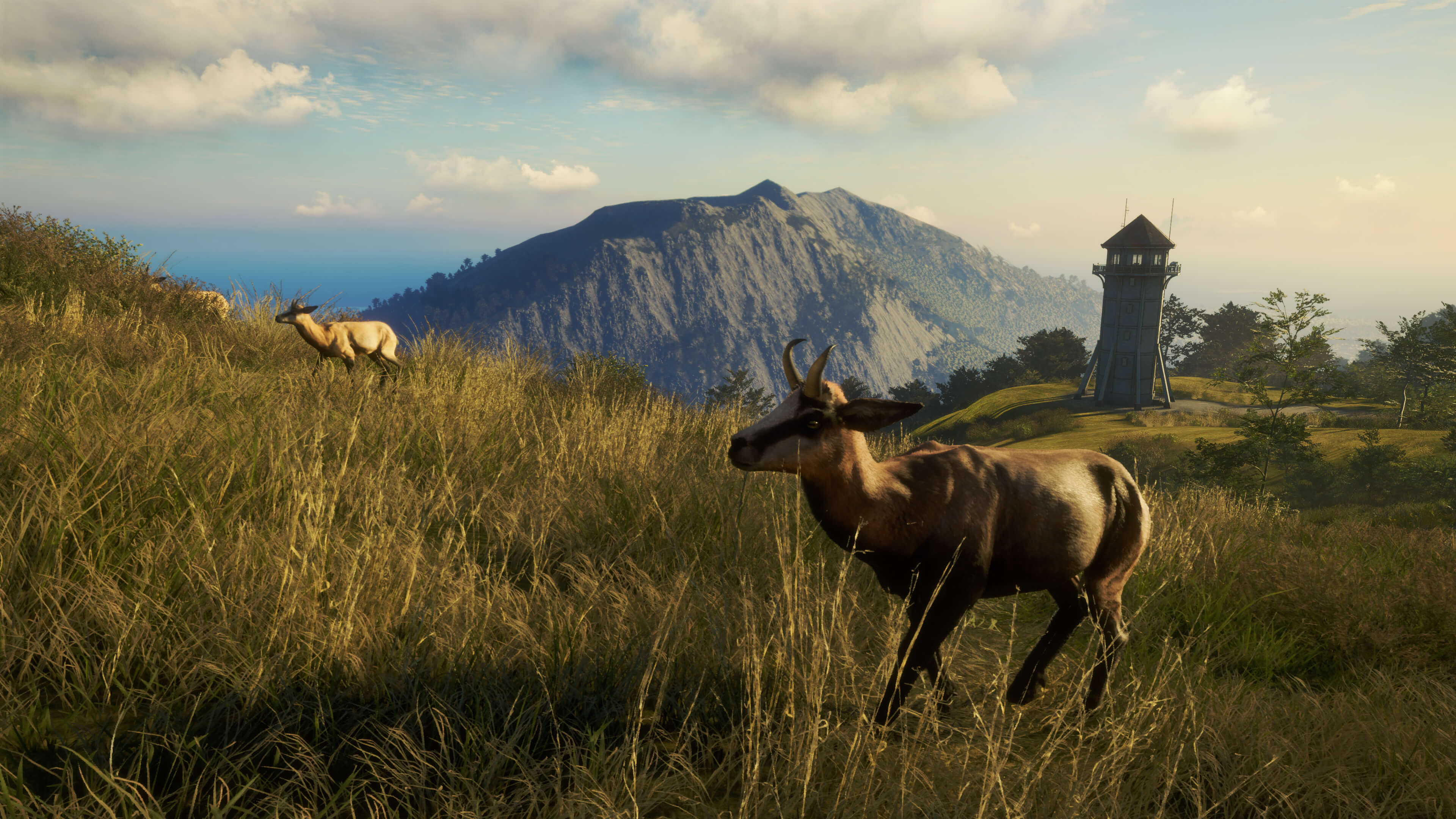 Picture of theHunter: Call of the Wild™ - Te Awaroa National Park Picture of theHunter: Call of the Wild™ - Te Awaroa National Park