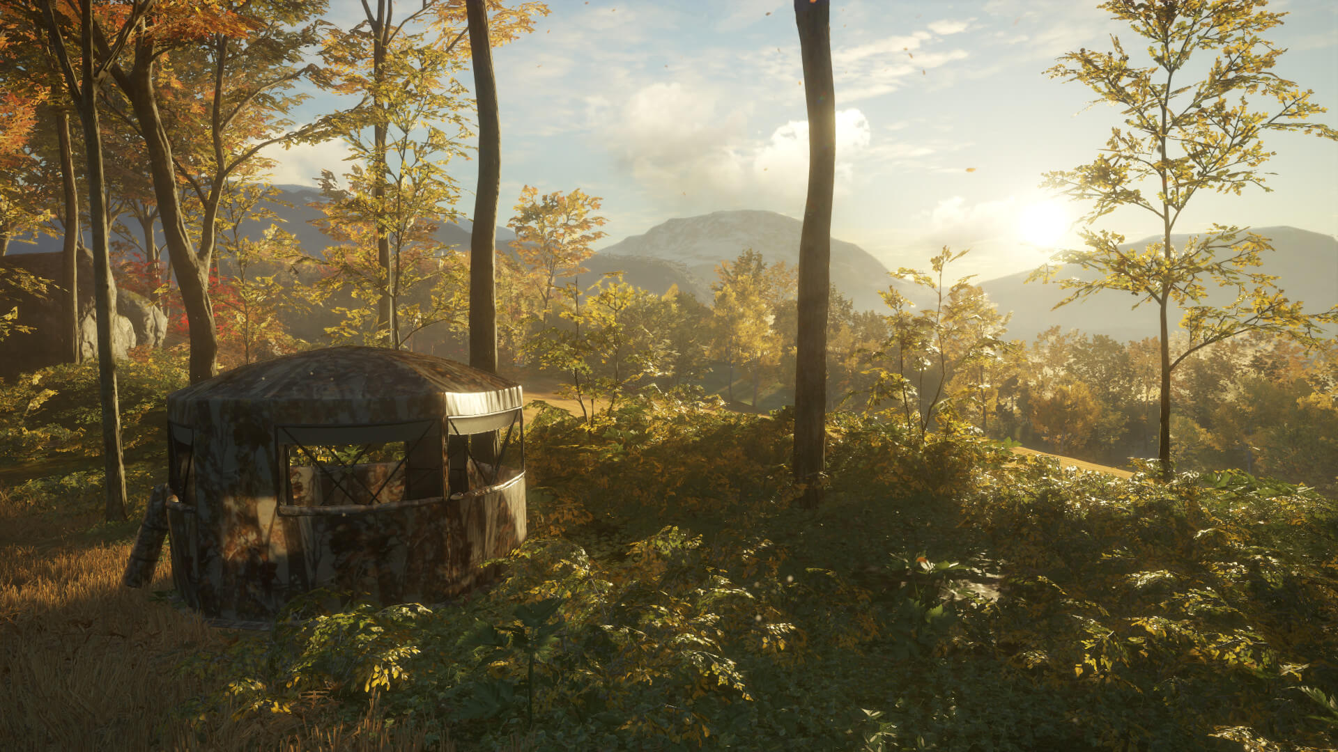 Picture of theHunter: Call of the Wild™ - Tents & Ground Blinds Picture of theHunter: Call of the Wild™ - Tents & Ground Blinds