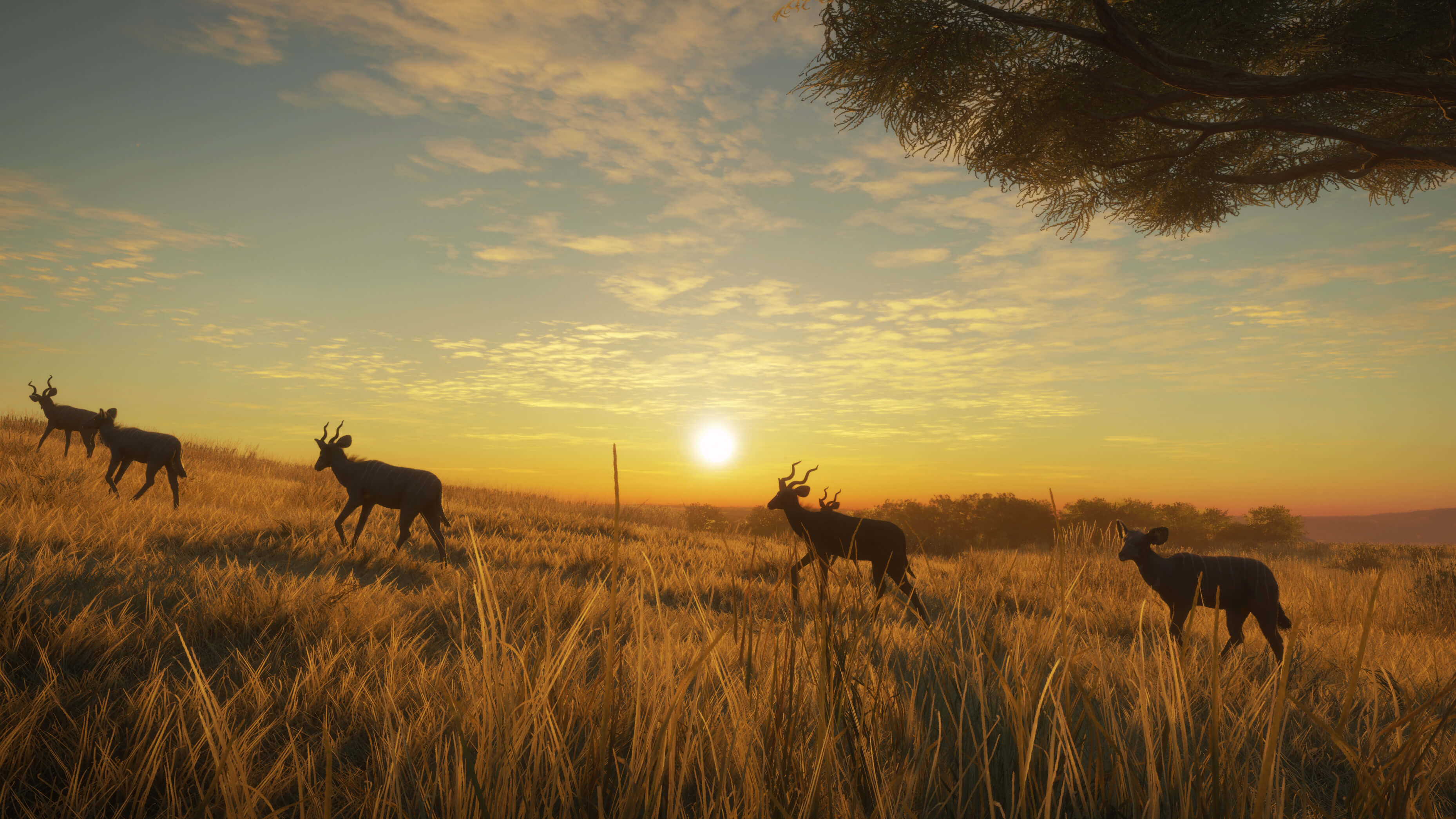 Picture of theHunter: Call of the Wild™ - Vurhonga Savanna Picture of theHunter: Call of the Wild™ - Vurhonga Savanna