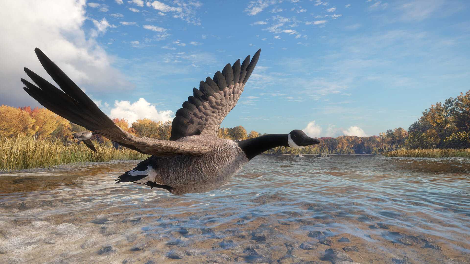 Picture of theHunter: Call of the Wild™ - Wild Goose Chase Gear Picture of theHunter: Call of the Wild™ - Wild Goose Chase Gear