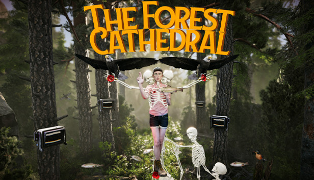 Picture of The Forest Cathedral