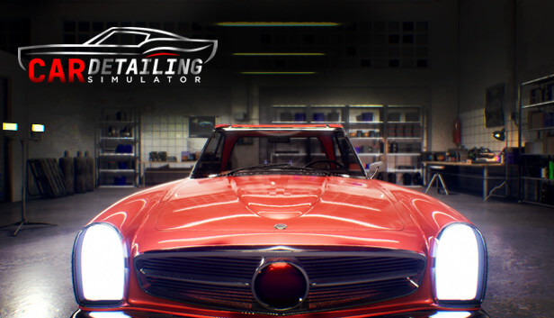 Picture of Car Detailing Simulator