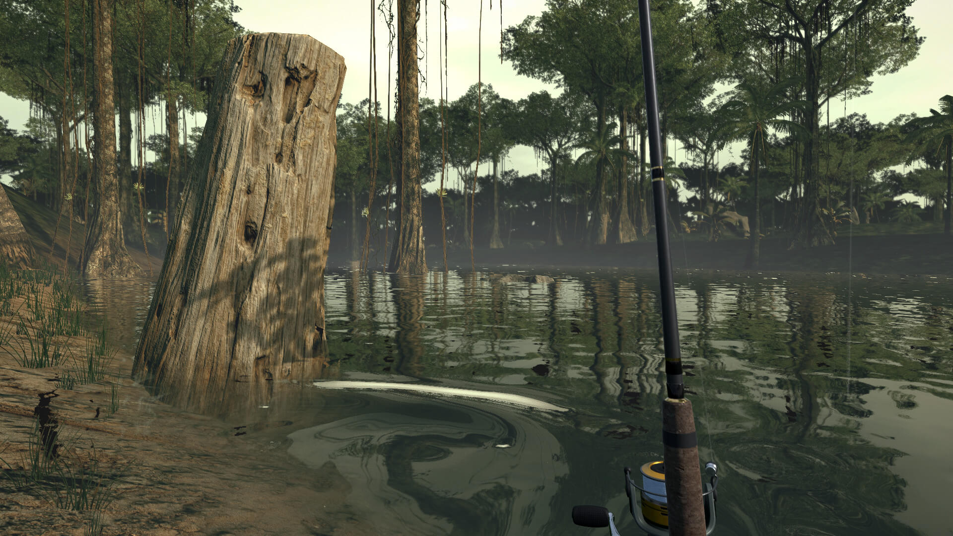 Picture of Ultimate Fishing Simulator - Amazon River DLC Picture of Ultimate Fishing Simulator - Amazon River DLC
