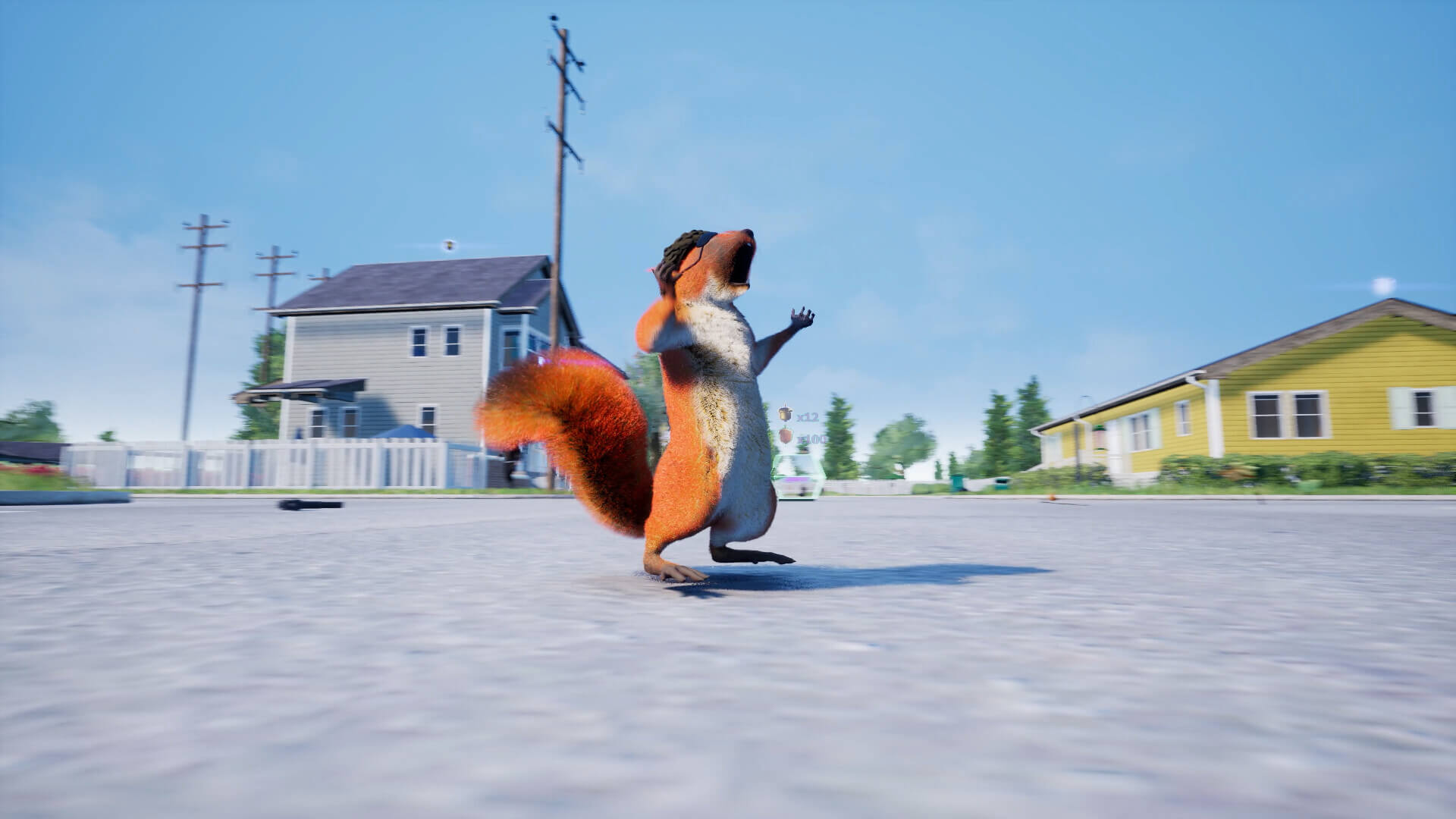 Picture of Squirrel with a Gun Picture of Squirrel with a Gun