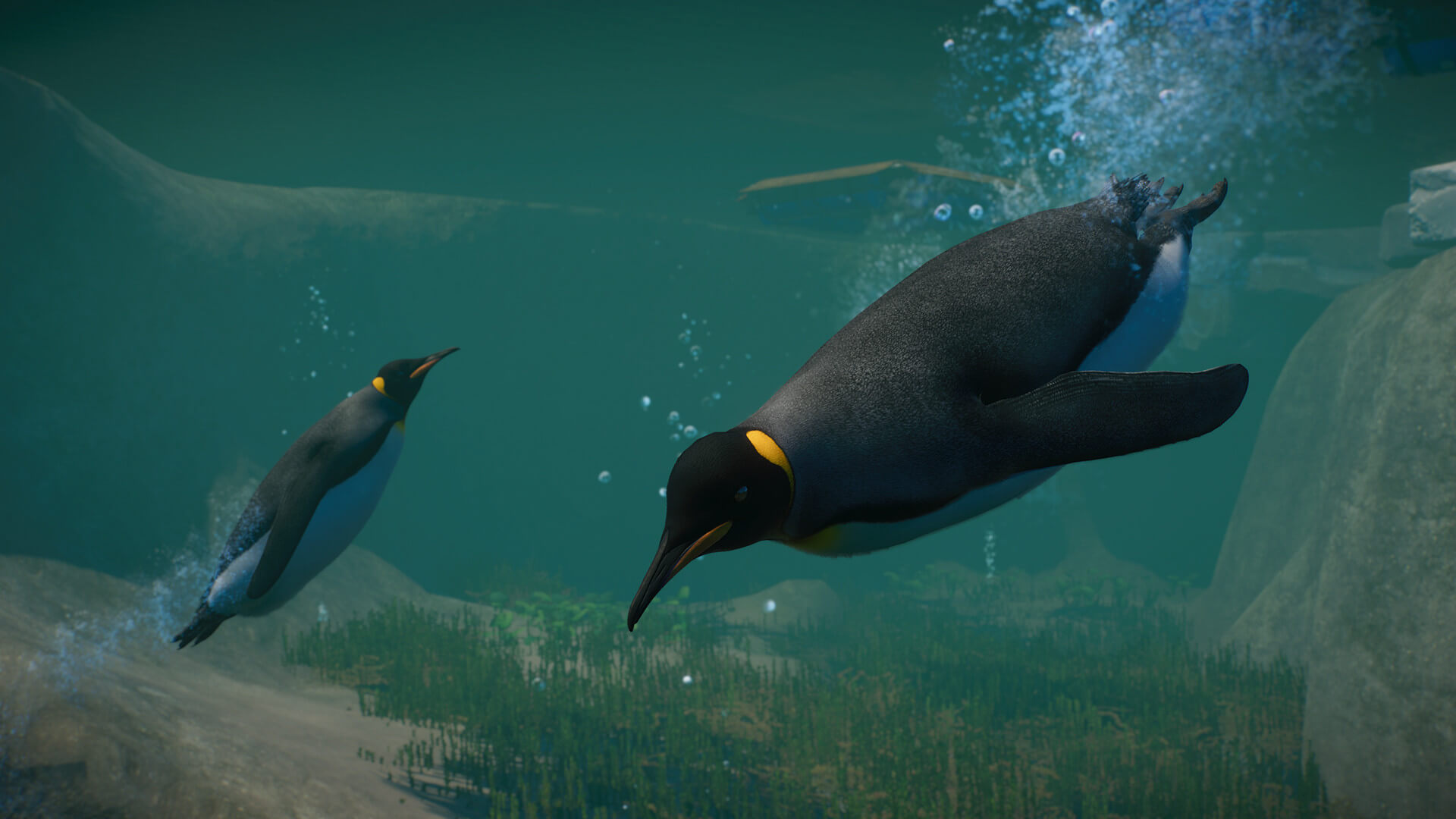Picture of Planet Zoo: Aquatic Pack Picture of Planet Zoo: Aquatic Pack
