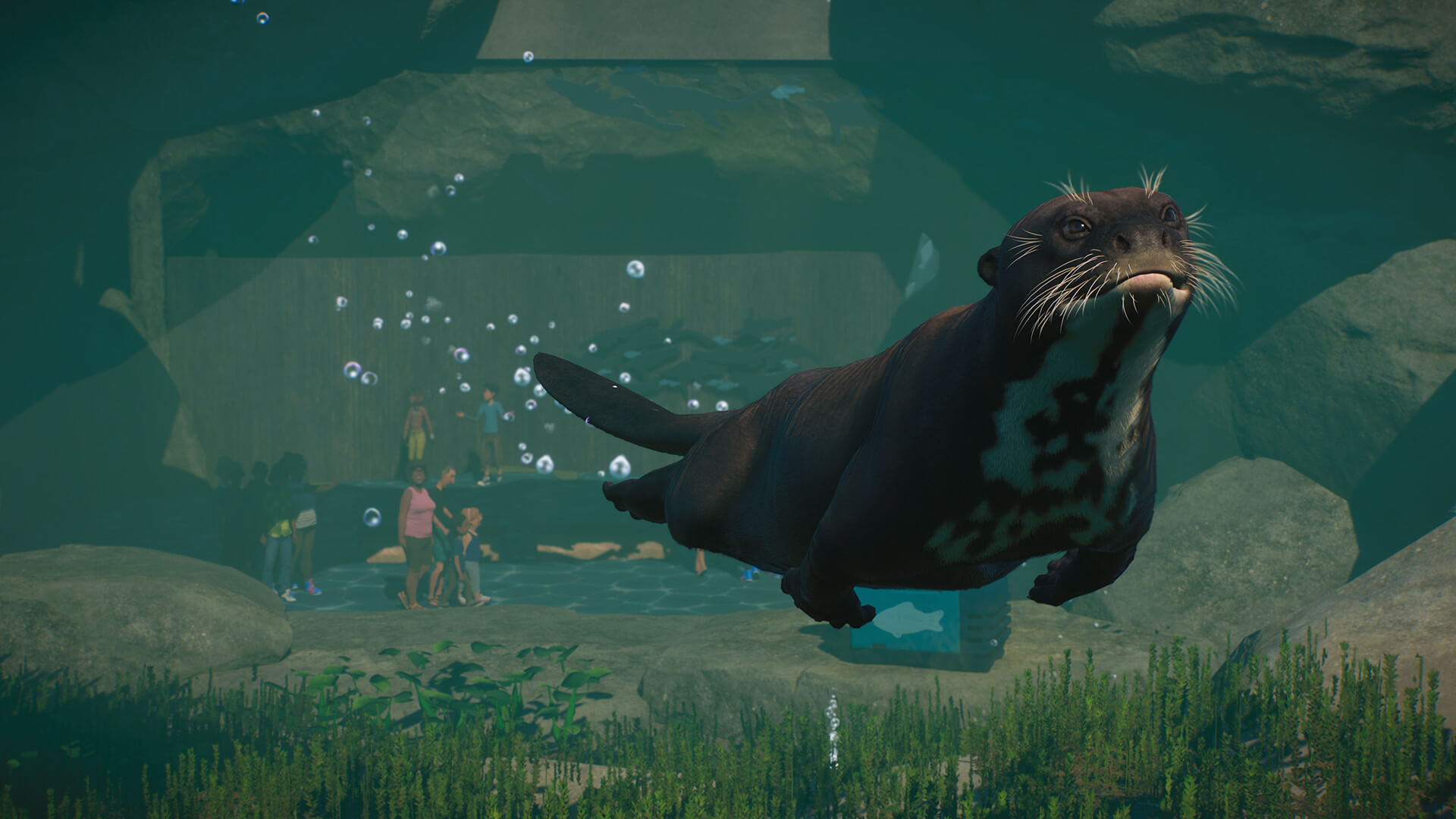 Picture of Planet Zoo: Aquatic Pack Picture of Planet Zoo: Aquatic Pack