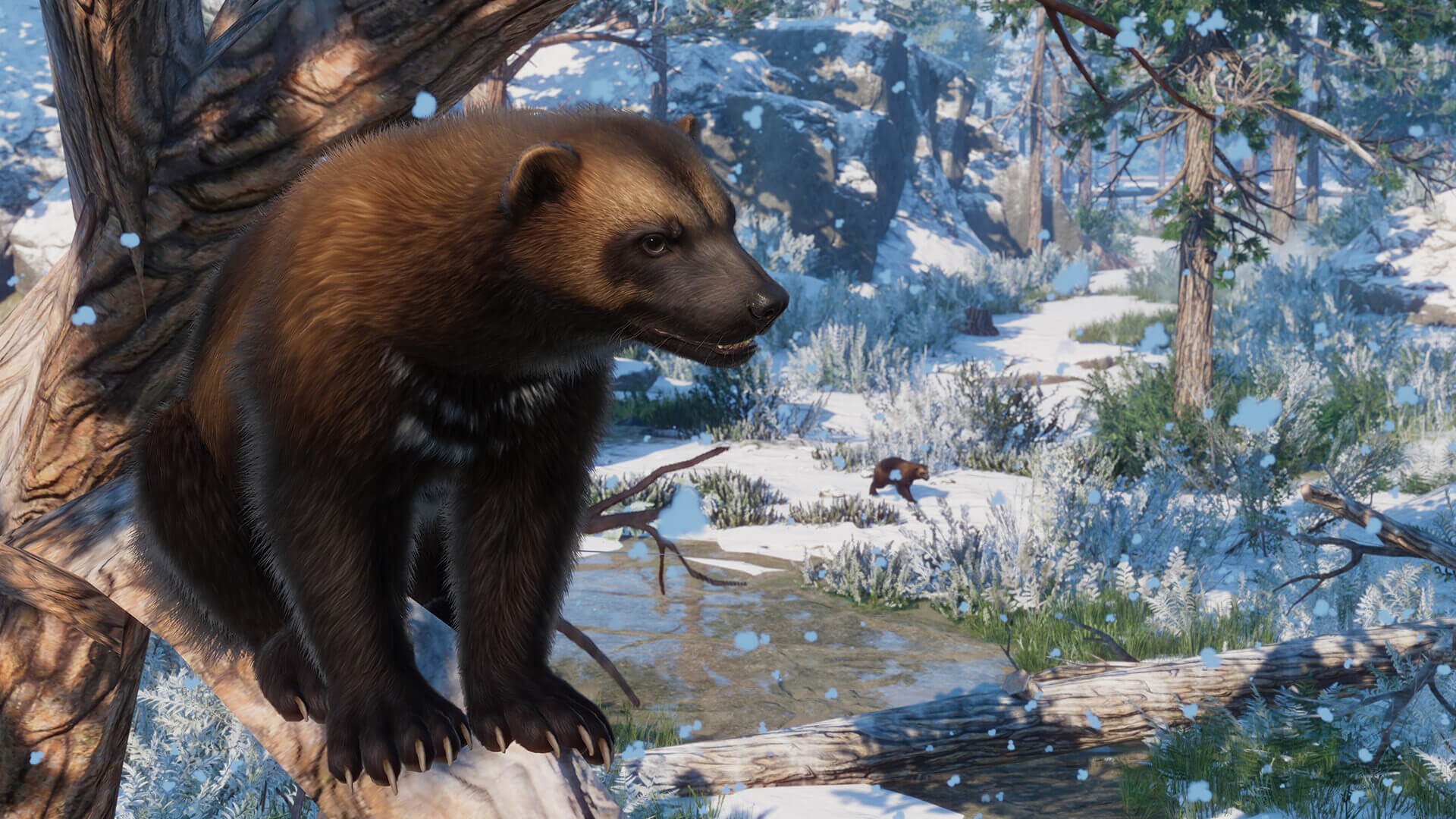 Picture of Planet Zoo: Eurasia Animal Pack Picture of Planet Zoo: Eurasia Animal Pack