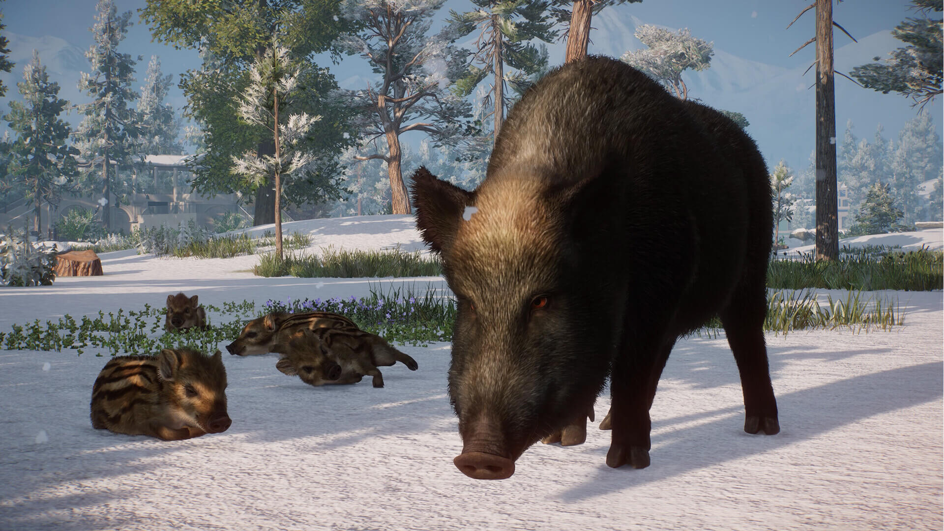 Picture of Planet Zoo: Eurasia Animal Pack Picture of Planet Zoo: Eurasia Animal Pack