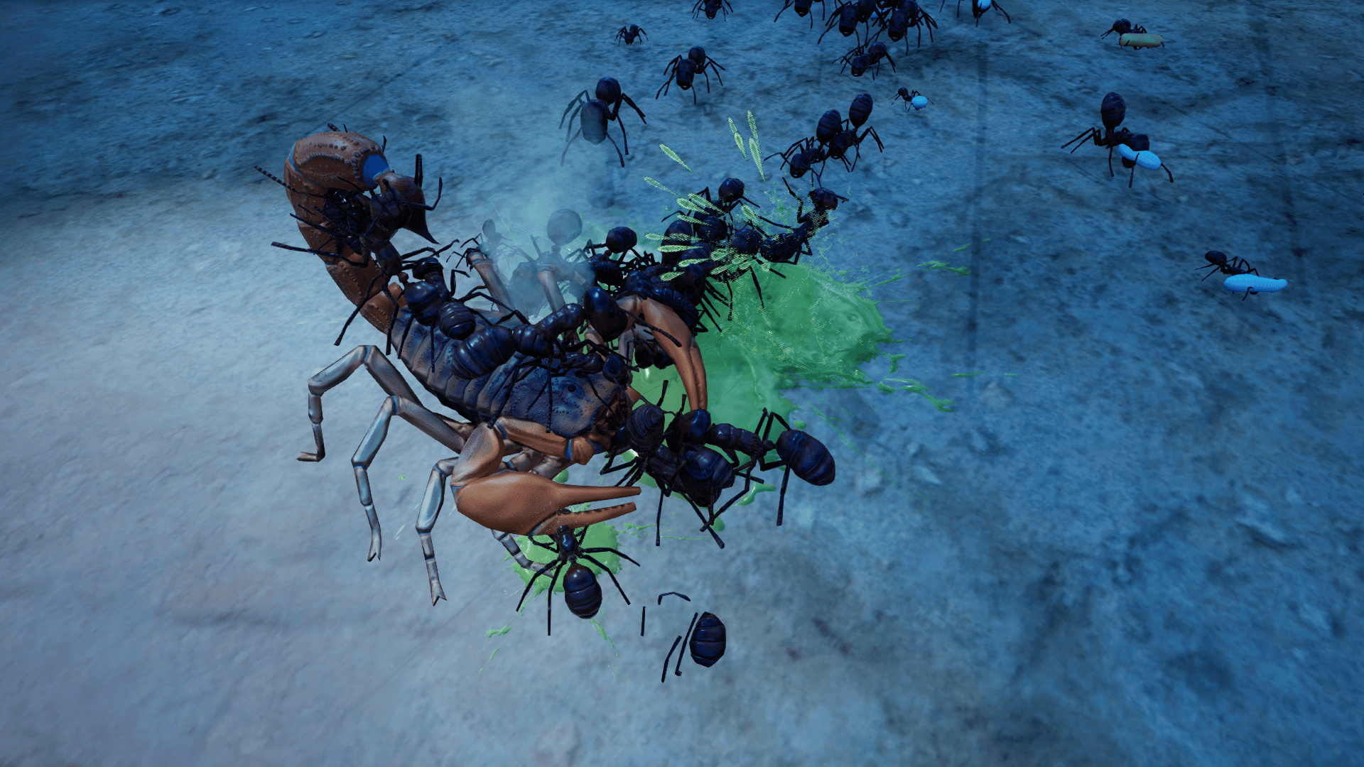 Empires of the Undergrowth - Exploding Ants