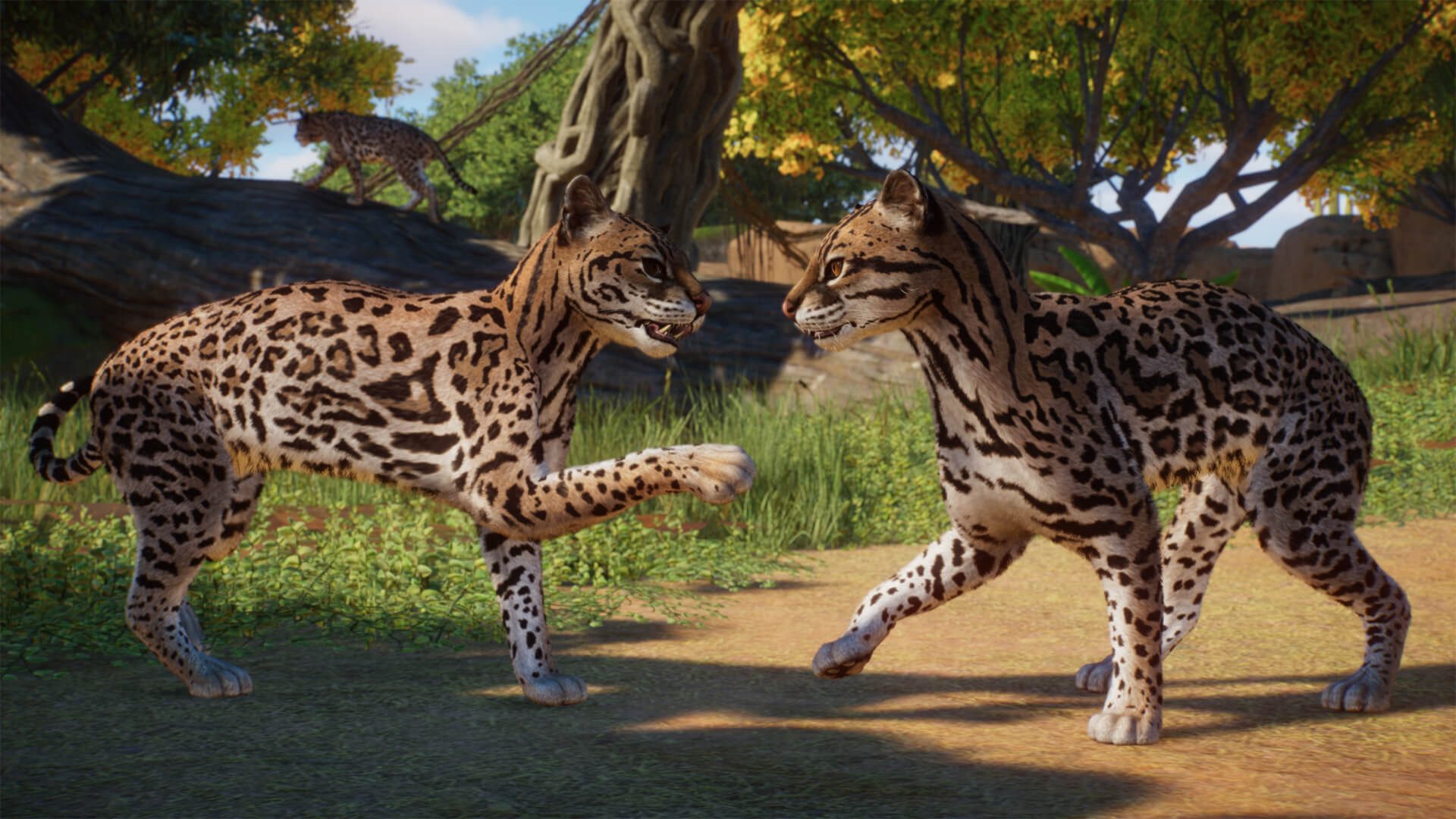 Picture of Planet Zoo: Americas Animal Pack Picture of Planet Zoo: Americas Animal Pack